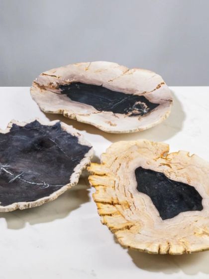 Petrified Wood Plate